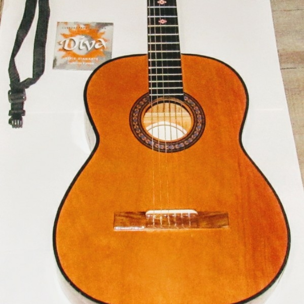 Acoustic guitar